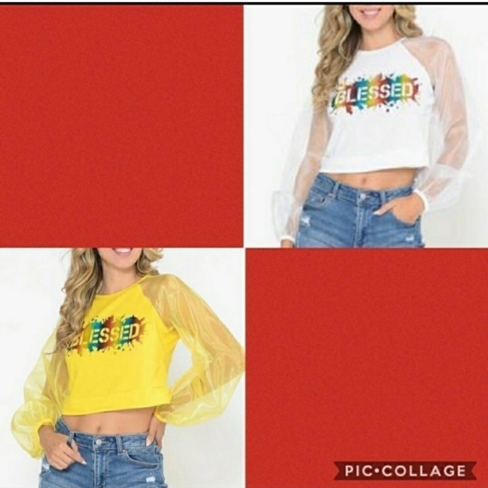Blessed Sheer Long Sleeve Crop Top small